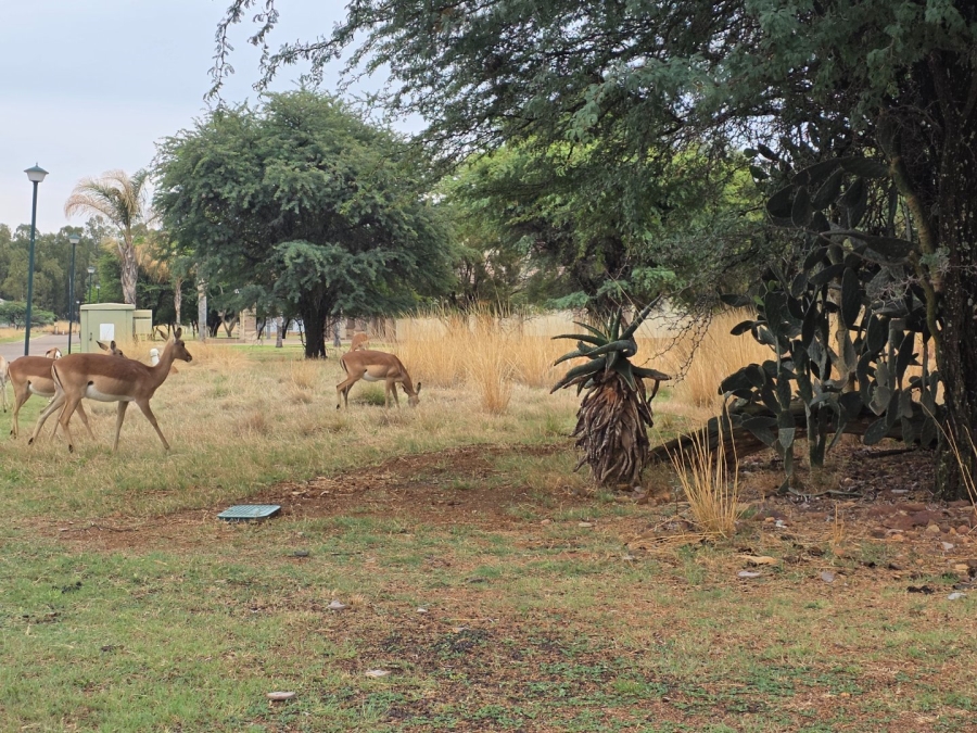 To Let 3 Bedroom Property for Rent in Wilkoppies North West